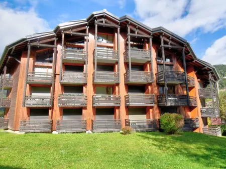Appartement 2 pièces près du centre de Morzine, animaux admis - Photo 9