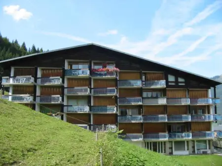 Appartement 3 pièces, Morzine, animaux admis, parking privé - Photo 8