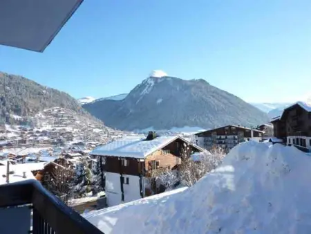 Appartement 3 pièces, Morzine, animaux admis, parking privé - Photo 9