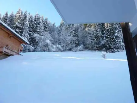 Appartement 3 pièces, Morzine, animaux admis, parking privé - Photo 10