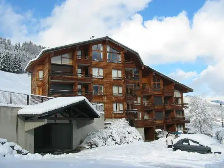 Appartement rénové 3 pièces à Morzine, à 350m du centre, 6 couchages, parking - Photo 9