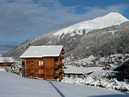 Appartement rénové 3 pièces à Morzine, à 350m du centre, 6 couchages, parking - Photo 15