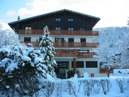 Appartement 2 pièces proche du centre de Morzine, animaux admis - Photo 6