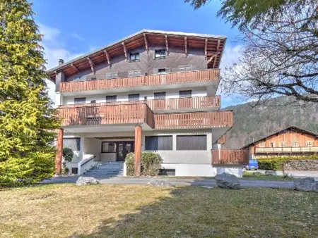 Appartement 2 pièces proche du centre de Morzine, animaux admis - Photo 8