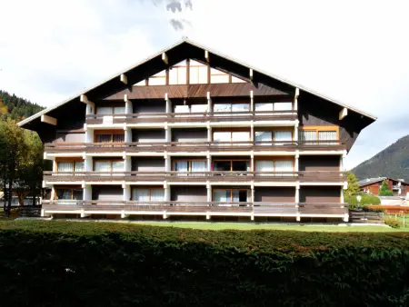 Appartement 2 pièces centre Morzine avec wifi et parking - Photo 9