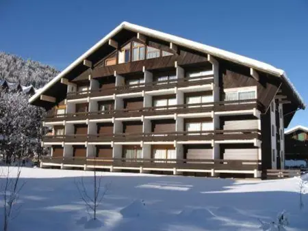 Appartement 2 pièces centre Morzine avec wifi et parking - Photo 11
