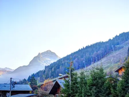 Studio rénové proche centre Morzine, pour 4 personnes - Photo 6