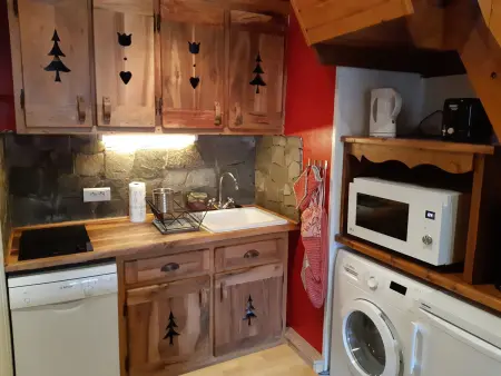 Charmant Duplex Montagne aux Deux Alpes avec Sauna et Wifi - Photo 2