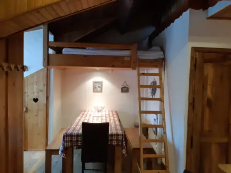 Charmant Duplex Montagne aux Deux Alpes avec Sauna et Wifi - Photo 3