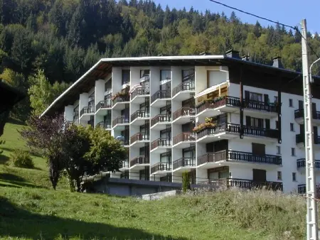 Bel appartement au pied du Pleney pour 4/5 pers. à Morzine, parking dispo - Photo 8