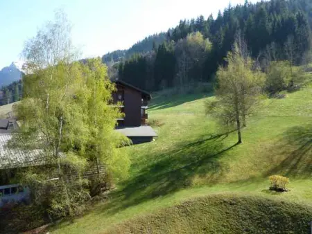 Bel appartement au pied du Pleney pour 4/5 pers. à Morzine, parking dispo - Photo 9