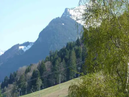 Bel appartement au pied du Pleney pour 4/5 pers. à Morzine, parking dispo - Photo 10