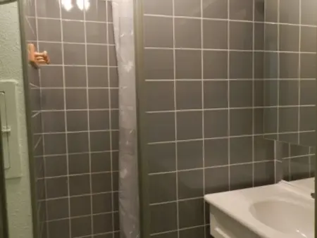 Studio 18m² pour 3 pers, proche pistes, animaux admis - Photo 2
