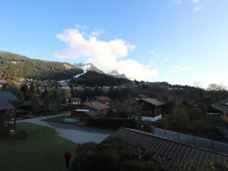 Duplex 2P/4 avec Balcon, WIFI et Parking Les Carroz - Photo 8