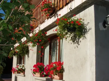 Charmant 3 pièces pour 6 personnes avec jardin, animaux admis - Photo 10