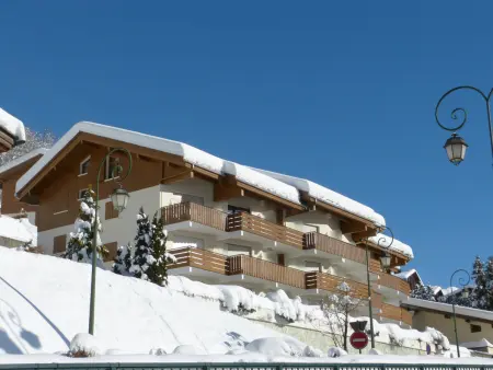 2 pièces à La Clusaz, animaux admis, garage et ascenseur - Photo 10