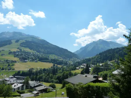 Appartement 3*** calme avec animaux admis et parking, proche pistes à La Clusaz - Photo 8