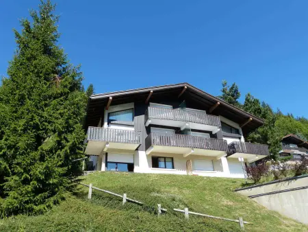 Appartement 3*** calme avec animaux admis et parking, proche pistes à La Clusaz - Photo 10