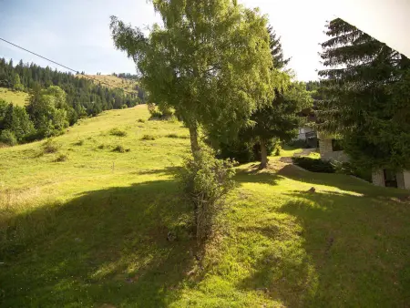 Accès direct pistes La Clusaz, 3 pièces, animaux acceptés - Photo 9