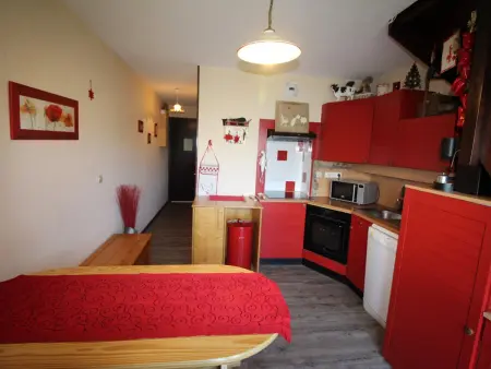 Triplex confort à 400m des pistes, 3 niveaux, 2 chambres, casier à skis, parking gratuit, Auris en Oisans - Photo 3
