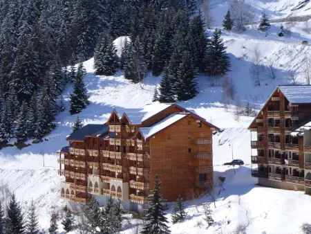 Triplex confort à 400m des pistes, 3 niveaux, 2 chambres, casier à skis, parking gratuit, Auris en Oisans - Photo 9