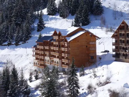 Triplex confort à 400m des pistes, 3 niveaux, 2 chambres, casier à skis, parking gratuit, Auris en Oisans - Photo 11
