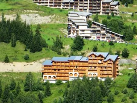 Triplex confort à 400m des pistes, 3 niveaux, 2 chambres, casier à skis, parking gratuit, Auris en Oisans - Photo 14