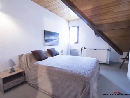 Duplex 8 pers. à Saint Lary, navette ski, Appartement 6 personnes à Vielle Aure - Photo 6