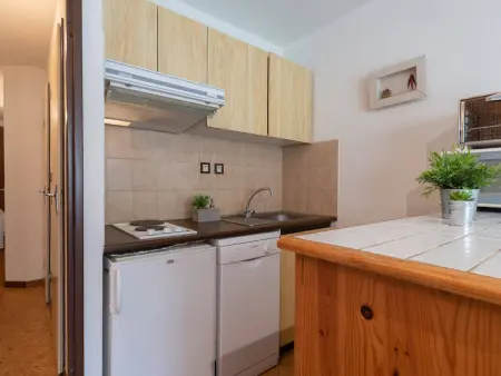 Appartement près télécabine, animaux admis, parking inclus pour 4 personnes à Vielle Aure - Photo 3