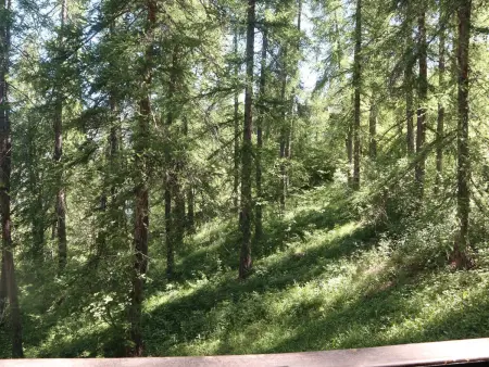 Studio calme en forêt, proche télésiège et commerces - Photo 5