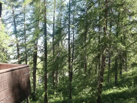 Studio calme en forêt, proche télésiège et commerces - Photo 6