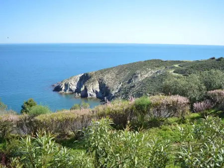 Appartement 2 pièces à Banyuls-sur-Mer avec vue mer et parking - Photo 14