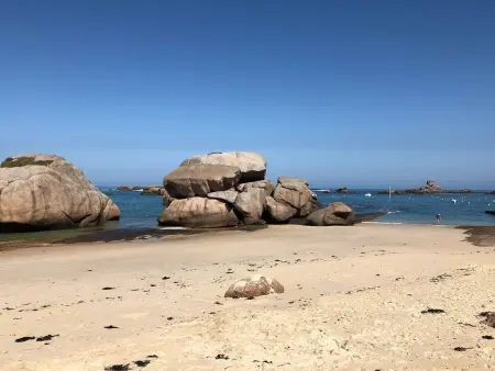 Appartement neuf en rez-de-chaussée à 50m de la plage Coz-Pors à Trégastel - Photo 1