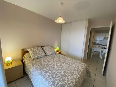 Appartement T2 avec terrasse et animaux acceptés - Photo 7