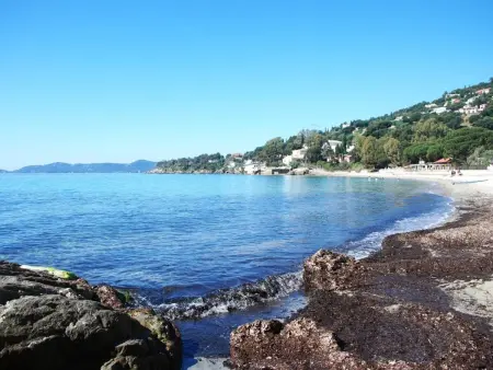 Studio cabine avec terrasse et parking, à 250 m de la plage d'Aiguebelle, Le Lavandou - Photo 10