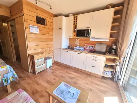 Studio 4/6 pers., Chaillol 1600, proche ski/rando, balcon S/O, TV, lave-vaisselle, animaux ok. - Photo 1