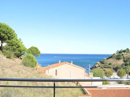 Appartement moderne 2 chambres avec terrasse, parking et climatisation à Banyuls-sur-Mer - Photo 13