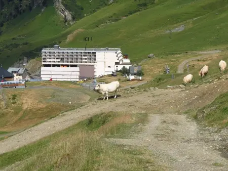 Studio cabine 4p, parking couvert, à 50m des pistes - Photo 2