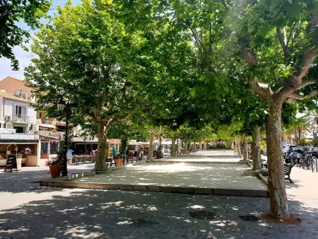 Studio climatisé avec terrasse et parking près de la plage - Photo 14