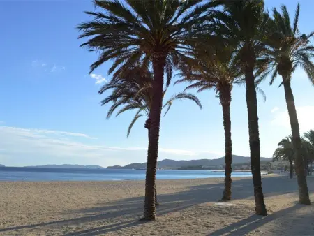 Appartement 2 pièces avec terrasse, 5 couchages, Le Lavandou - Photo 13
