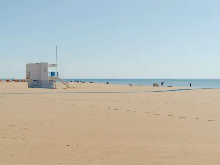 Appartement T2 bord de mer 2 pers, animaux admis, parking public, location draps & serviettes - Photo 10
