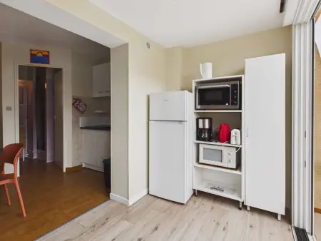 Studio pour 4, terrasse sud-est, parking privé, Appartement 4 personnes à Marseillan Plage - Photo 4