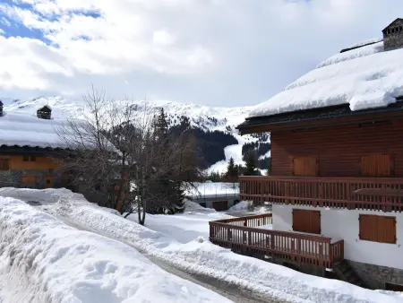 Appartement 3 pièces, 8 pers, près des pistes, cheminée, animaux acceptés - Méribel - Photo 29