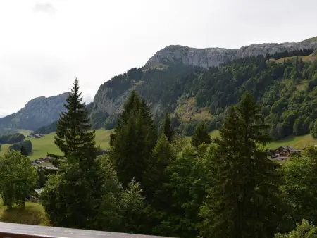 Appartement au pied des pistes, 4 couchages, Le Grand-Bornand - Photo 15