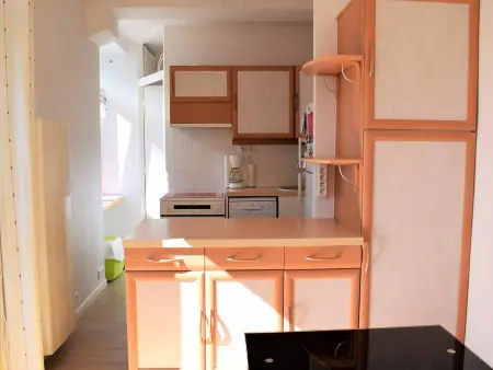 Lumineux appartement 2 pers, centre Trébeurden, proche plage, chiens admis - Photo 5
