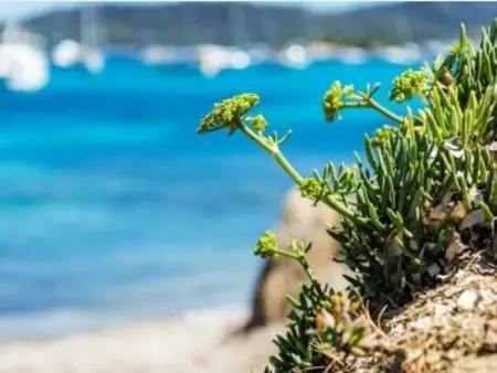 Appartement T2 avec Terrasse Sud, Climatisé, à Proximité Plage - Le Lavandou - Photo 17