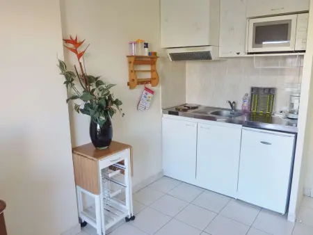 Studio Cabine Climatisé avec Piscine, Terrasse et Parking Privé – Proche Commodités - Photo 3