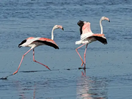 Appartement 2 pièces RDC avec terrasse, climatisation et parking proche plage et commerces - Photo 20