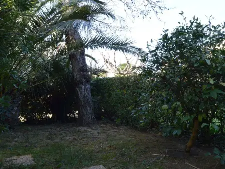 Appartement T2 avec piscine, jardinet et parking à 250m de la plage à Saint-Cyprien - Photo 11