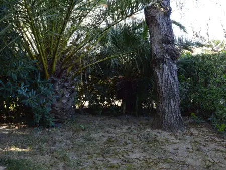 Appartement T2 avec piscine, jardinet et parking à 250m de la plage à Saint-Cyprien - Photo 12